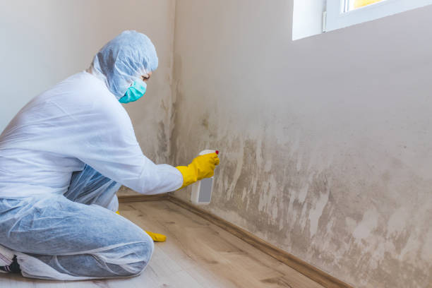Asbestos and Lead Testing During Mold Inspection in Milan, IN