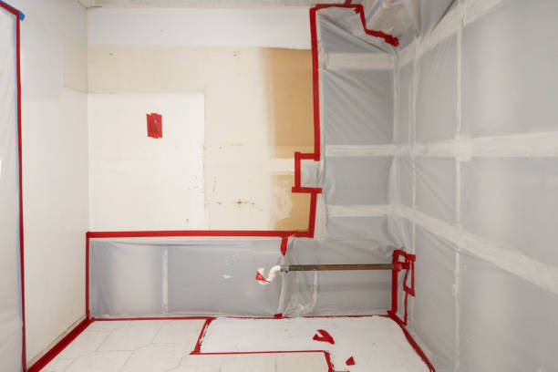 Best Post-Construction Mold Inspection  in Milan, IN