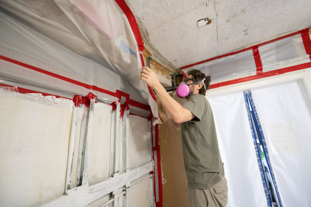 Best Emergency Mold Remediation  in Milan, IN