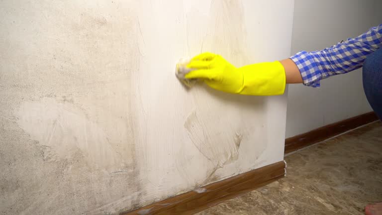 Best Residential Mold Inspection & Testing  in Milan, IN