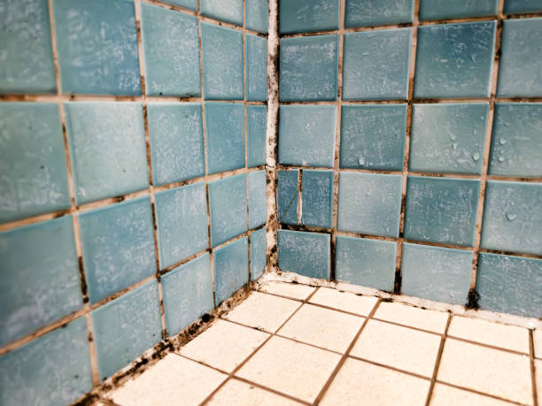 Best Air Quality Testing for Mold Spores  in Milan, IN