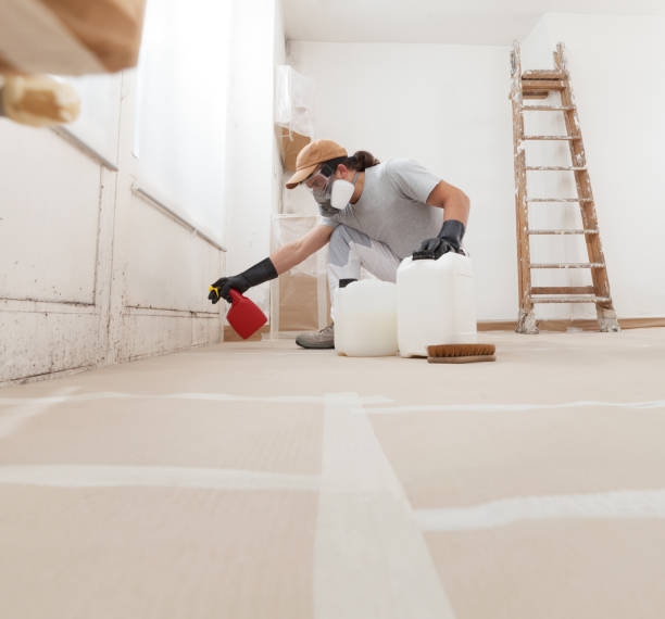 Best Commercial Mold Inspection  in Milan, IN