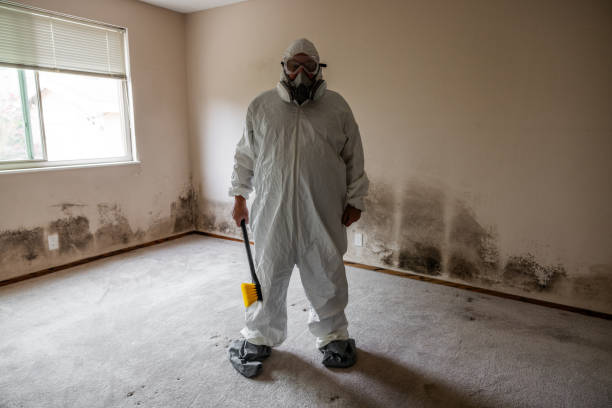 Best Mold Remediation for Healthcare Facilities  in Milan, IN