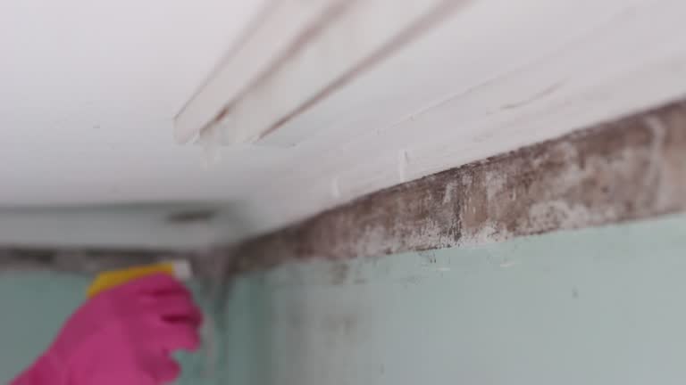 Best Post-Remediation Verification Testing  in Milan, IN